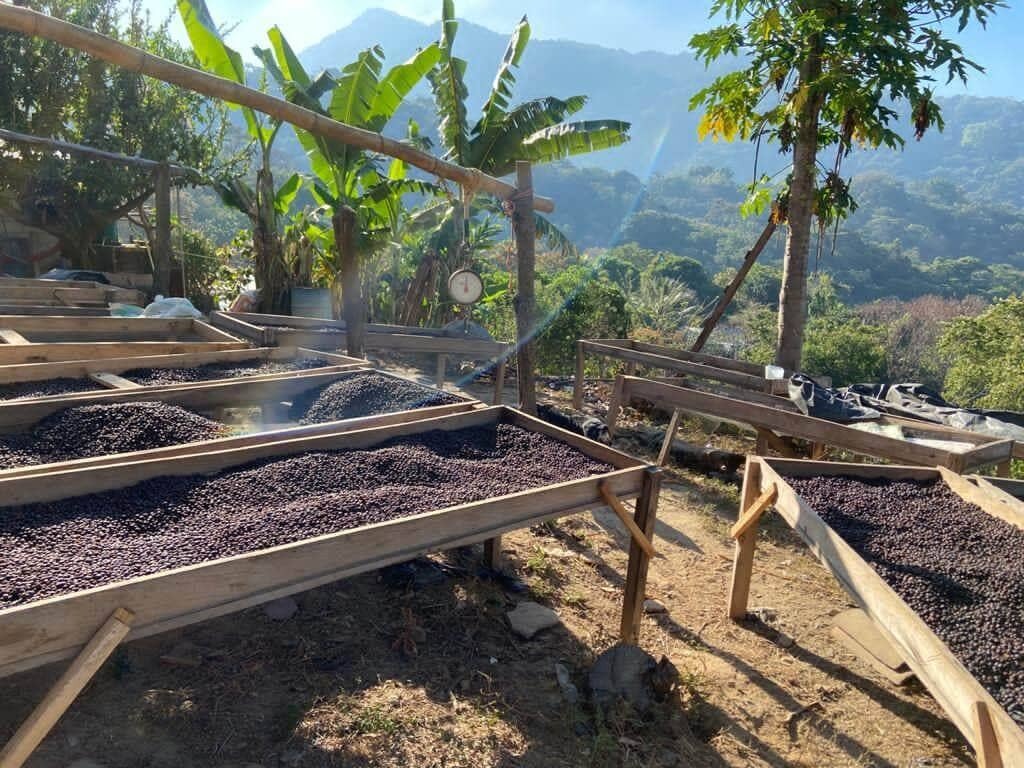 Chichontepec Cordillera Chichontepec Región – Cafe La Casona